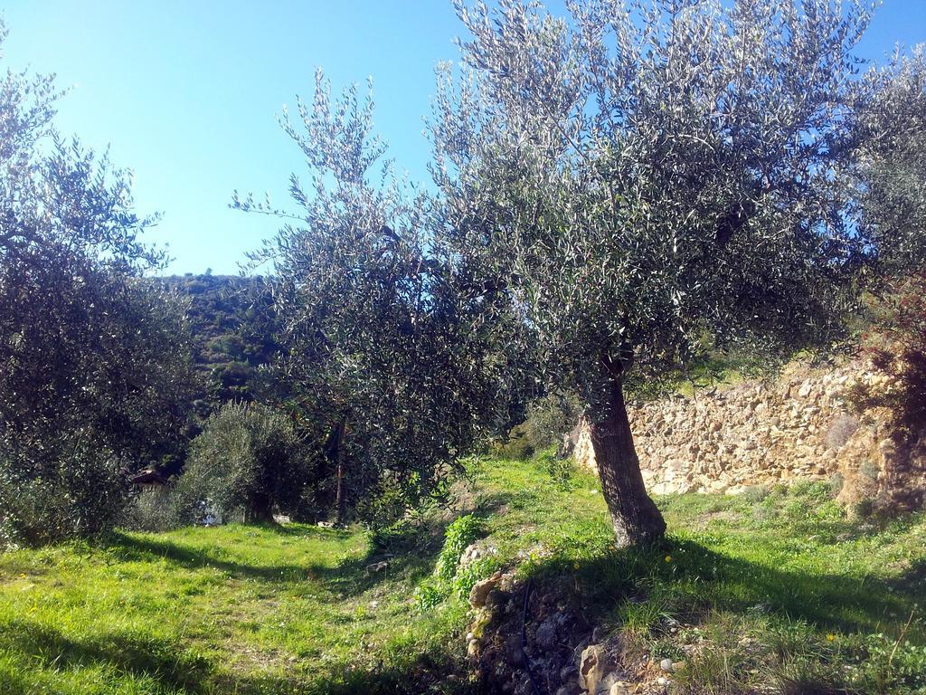 Agriturismo C'Era Una Volta Camporosso  Exteriér fotografie