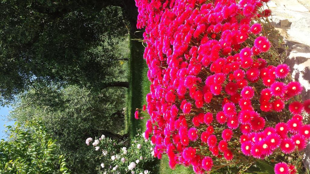 Agriturismo C'Era Una Volta Camporosso  Exteriér fotografie
